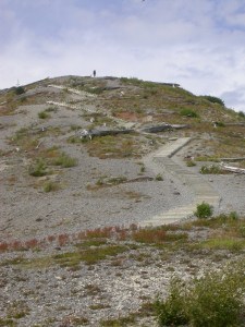 To the top of the viewpoint of Mt. St. Helens