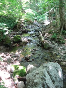 Along the trail to the shieling (above)